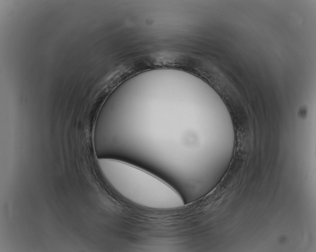 X0000097590648200802290750