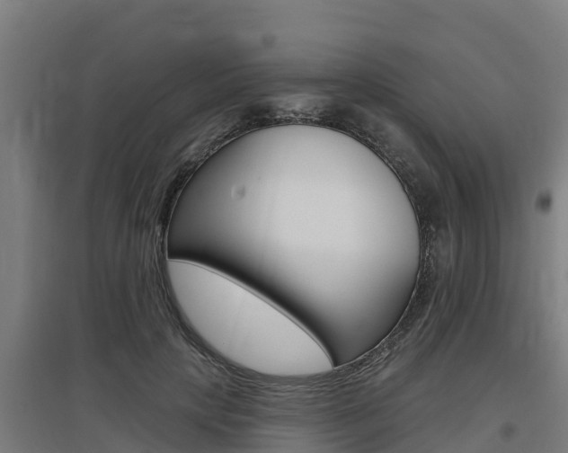X0000097590649200802290750
