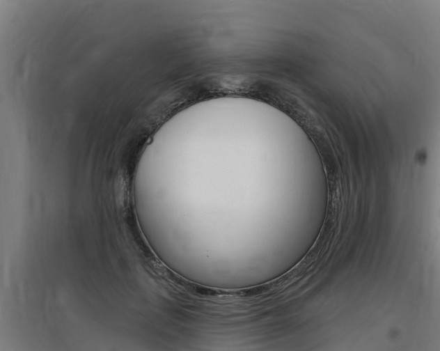 X0000097590651200802290750