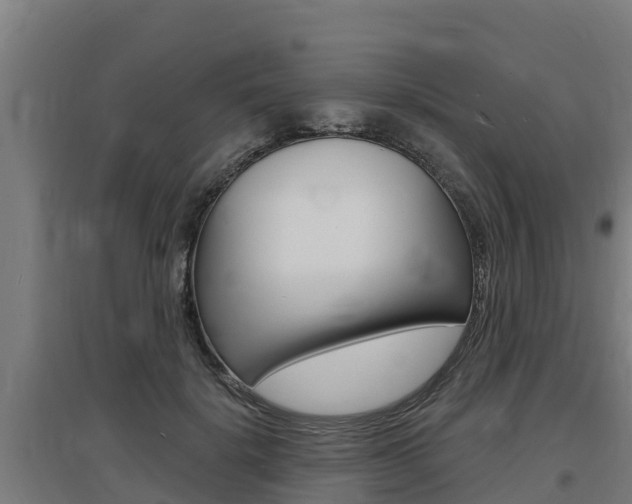 X0000097590652200802290750