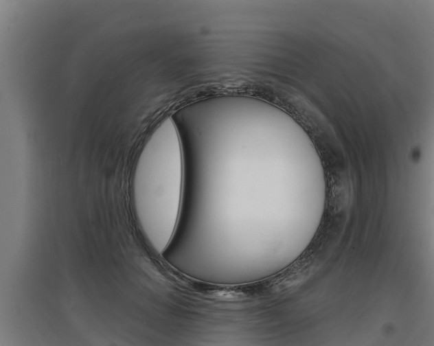 X0000097590654200802290750