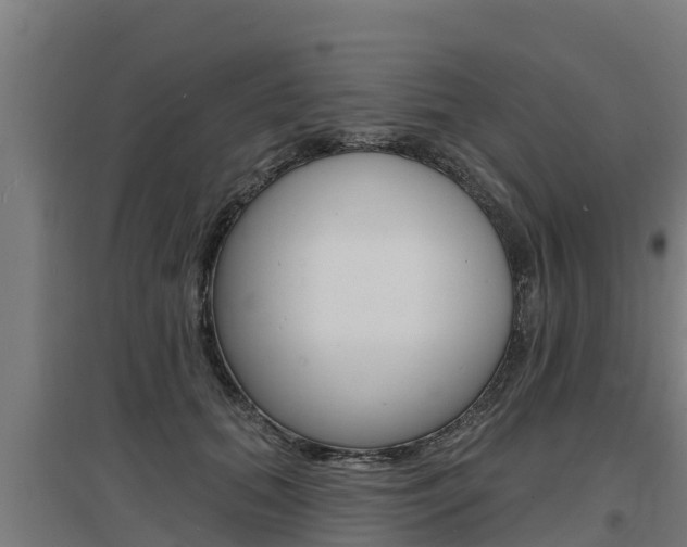 X0000097590655200802290750