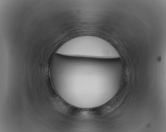 X0000097590657200802290750
