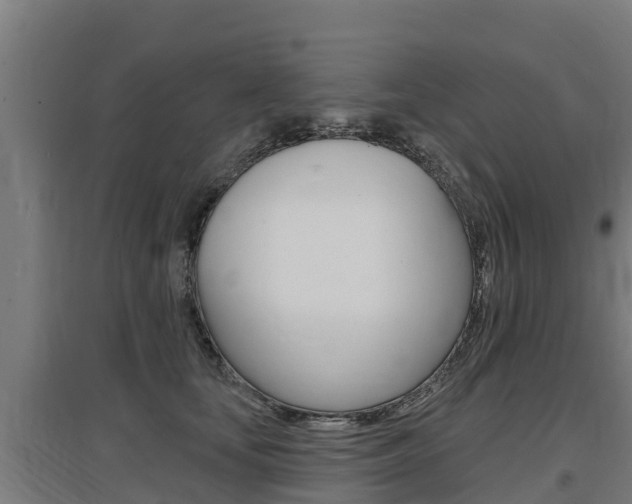 X0000097590659200802290751