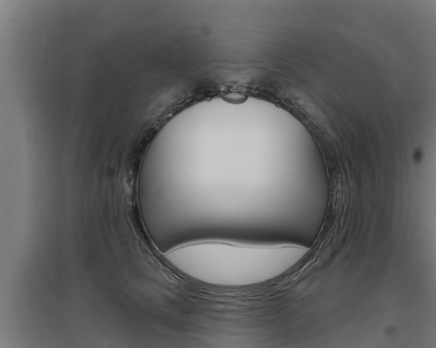 X0000097590661200802290751