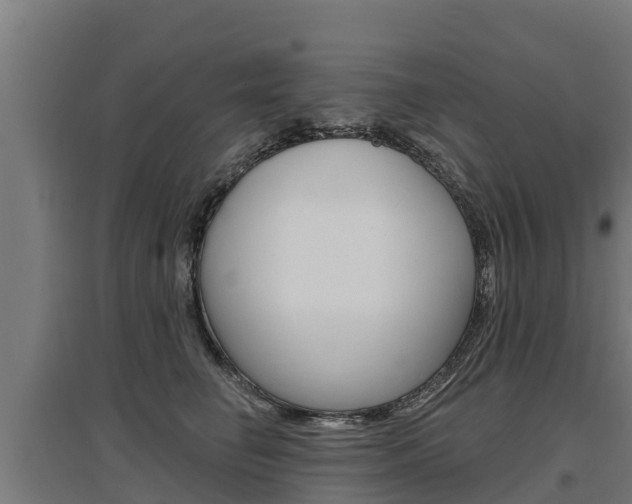 X0000097590662200802290751