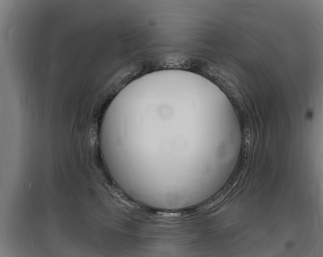 X0000097590665200802290751