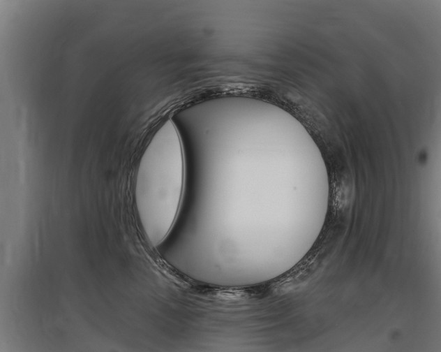 X0000097590666200802290751