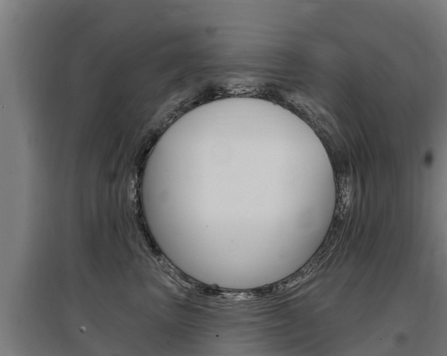 X0000097590667200802290751