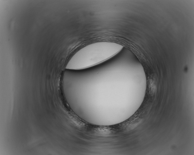 X0000097590668200802290751