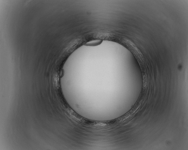 X0000097590669200802290751