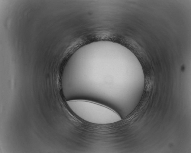 X0000097590670200802290751
