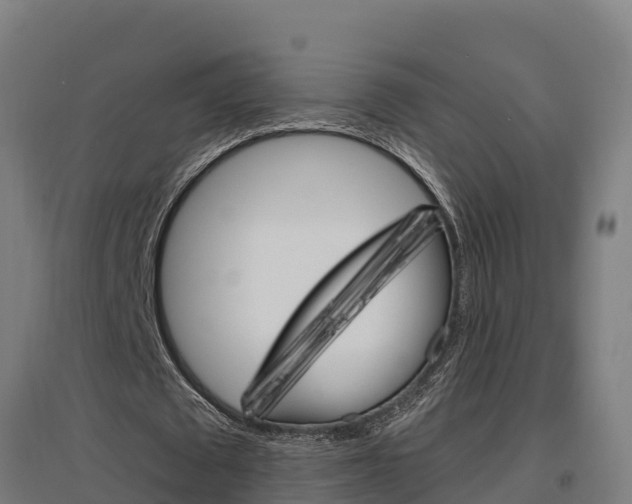 X0000097590673200802290750