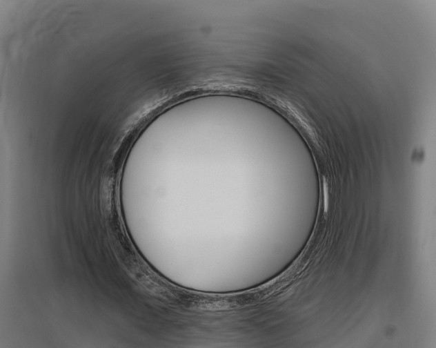 X0000097590675200802290750