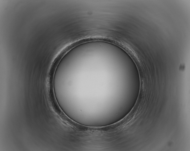 X0000097590676200802290750