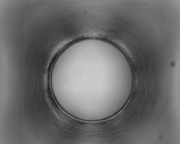 X0000097590678200802290750