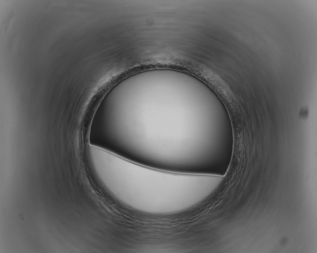 X0000097590680200802290750