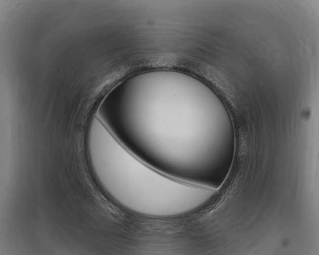 X0000097590681200802290750