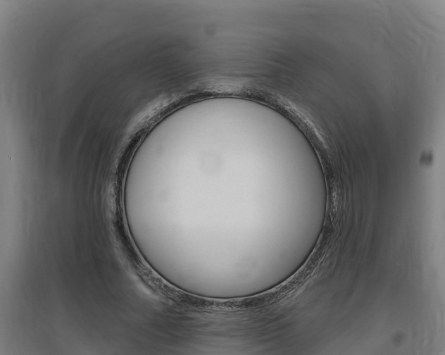 X0000097590682200802290750