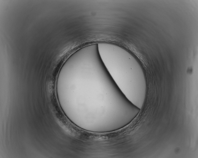 X0000097590683200802290750
