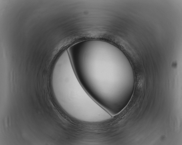 X0000097590685200802290750