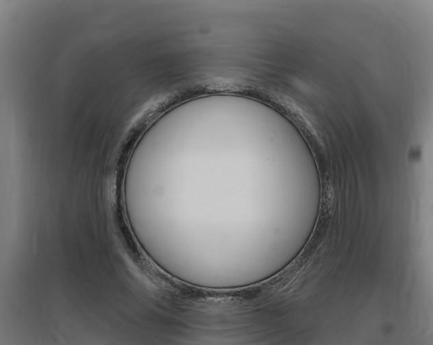 X0000097590686200802290750