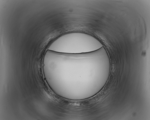 X0000097590687200802290750