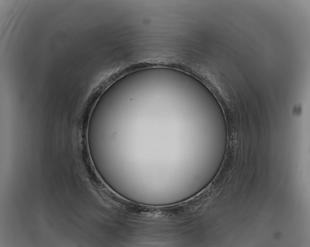 X0000097590688200802290750