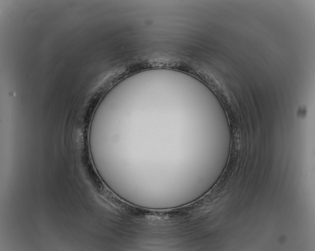 X0000097590690200802290750