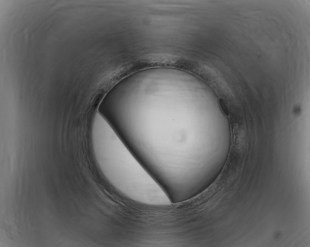 X0000097590692200802290750