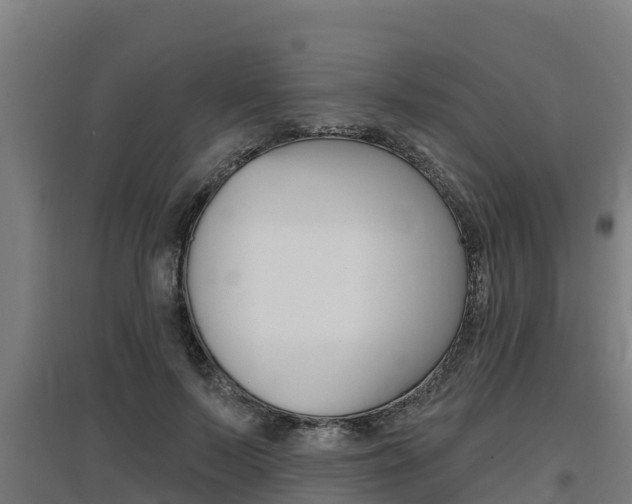 X0000097590695200802290750