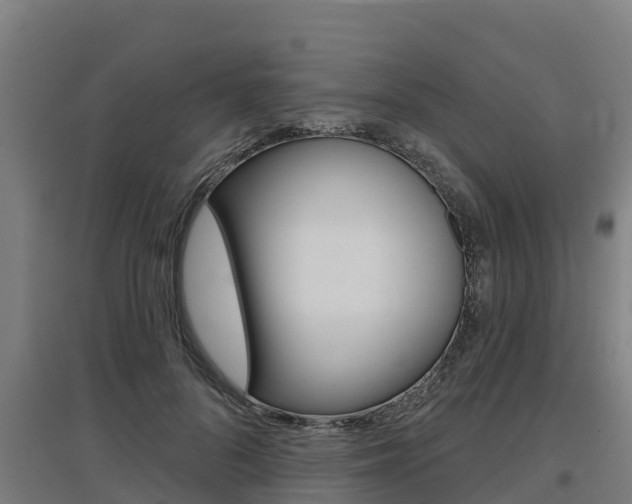 X0000097590696200802290750