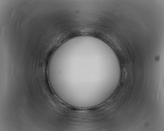 X0000097590698200802290750