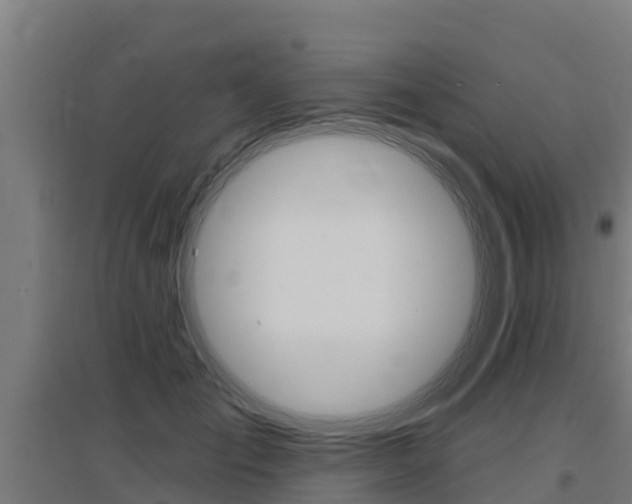 X0000097590701200802290750