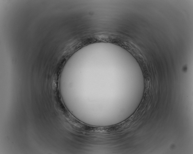 X0000097590702200802290750