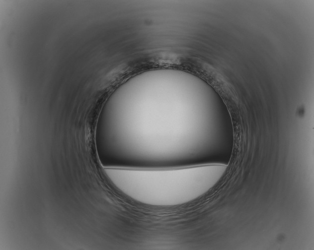 X0000097590704200802290750