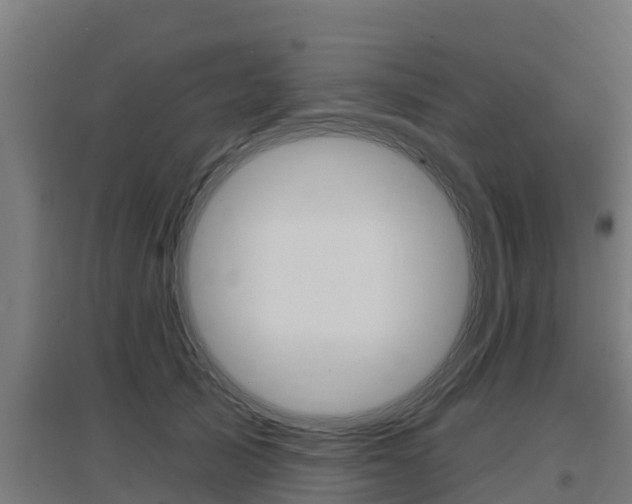 X0000097590705200802290750