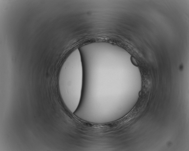 X0000097590707200802290750