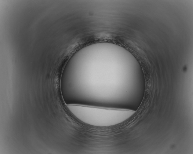 X0000097590708200802290750