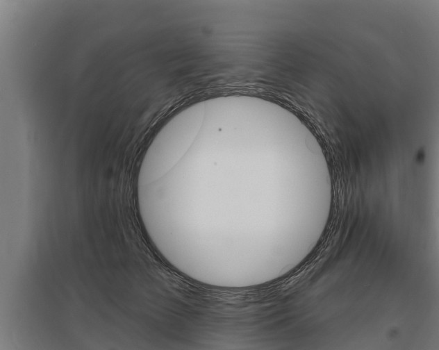 X0000097590709200802290750