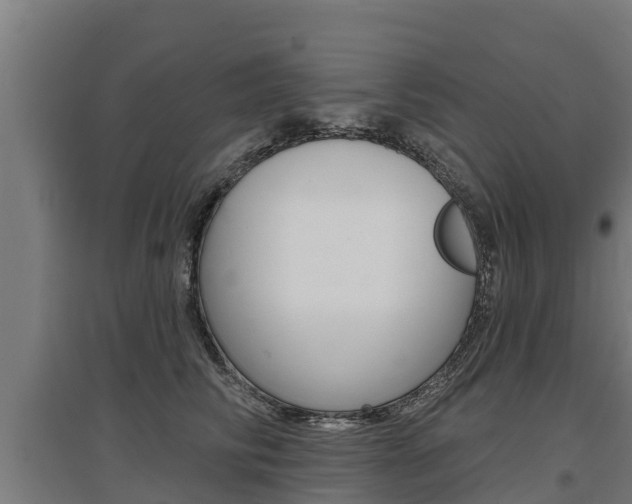 X0000097590710200802290750