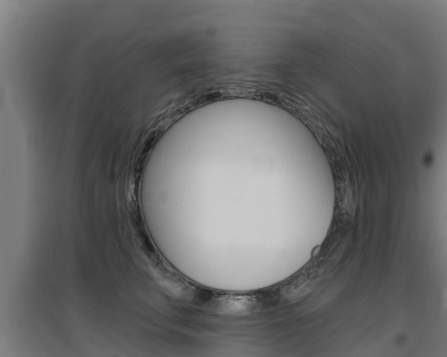 X0000097590711200802290750