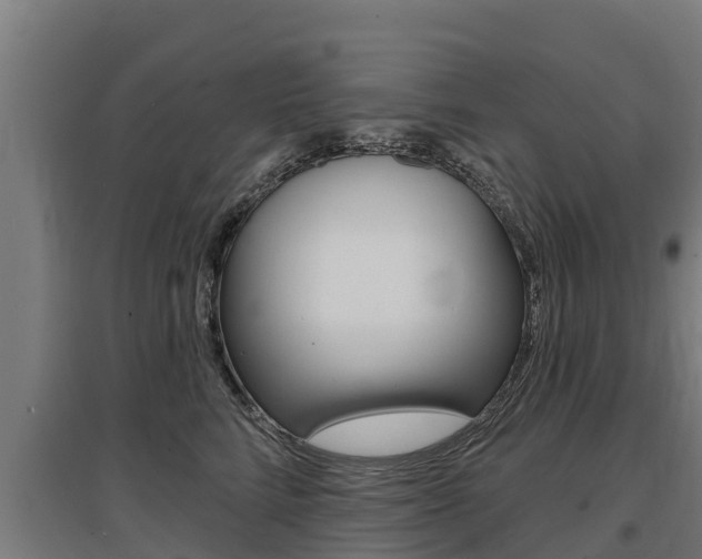 X0000097590712200802290750
