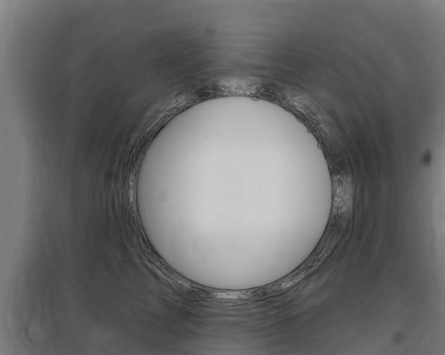 X0000097590713200802290749