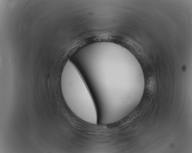 X0000097590715200802290749