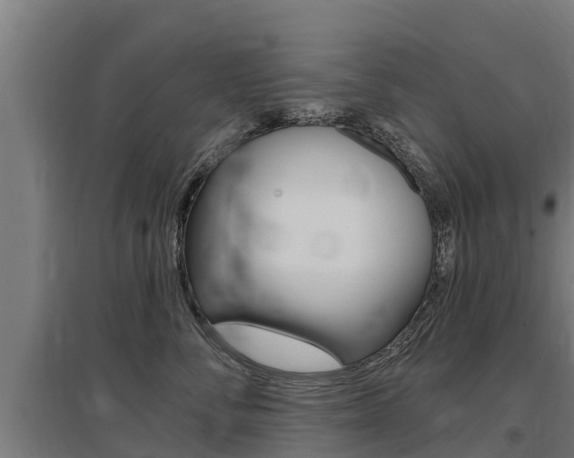 X0000097590716200802290749