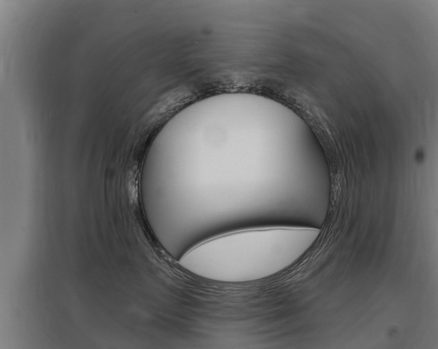 X0000097590719200802290749