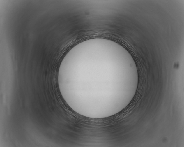 X0000097590720200802290749