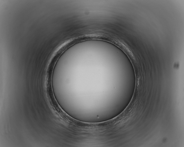 X0000097590724200802290749