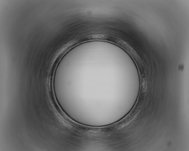 X0000097590725200802290749